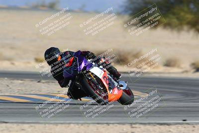 media/Jan-14-2024-SoCal Trackdays (Sun) [[2e55ec21a6]]/Turn 4 Tree of Life (155pm)/